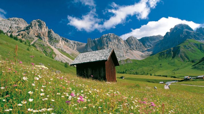 Foto Trentino: ecovacanze con charme