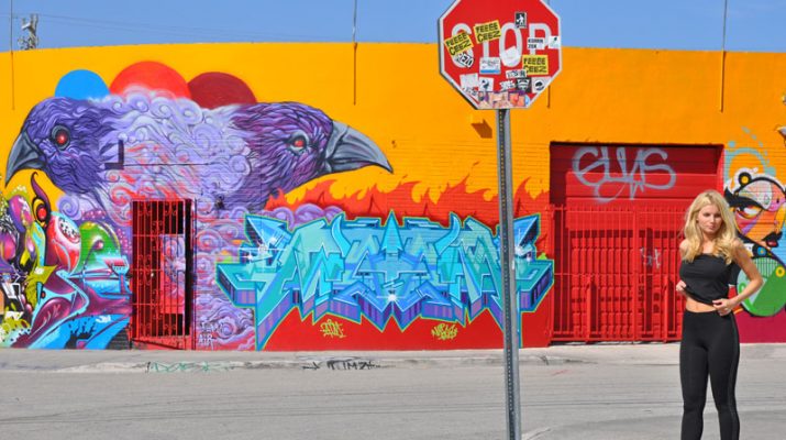 Foto Miami, fra gallerie d'arte e graffiti