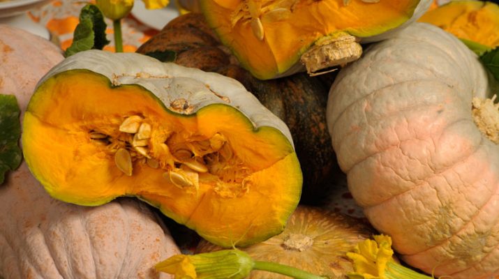 Foto Zucca: la top ten dei ristoranti