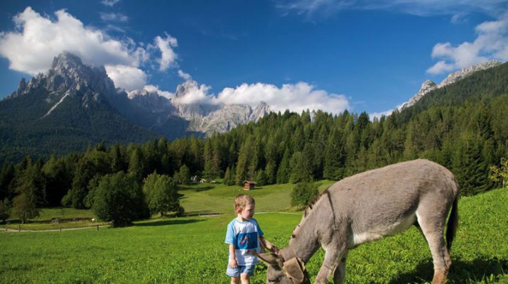 Foto Trentino: la vacanze rurale