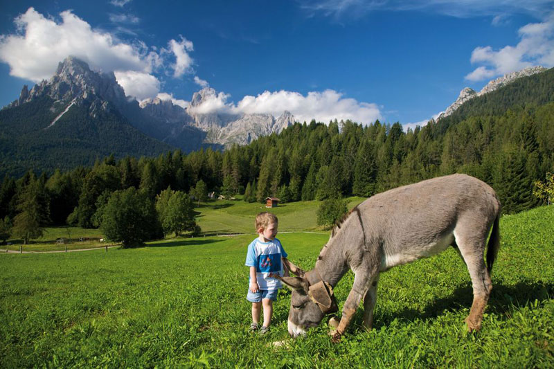 Trentino: la vacanze rurale