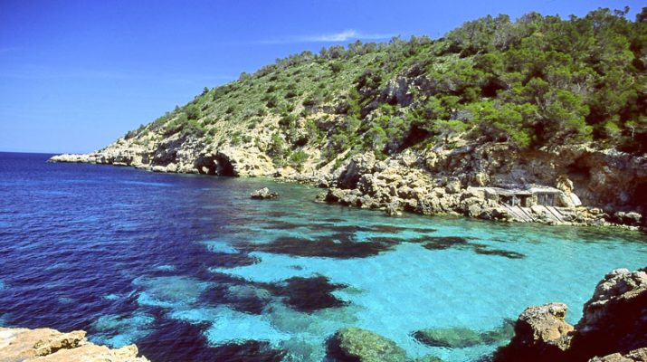 Foto Ibiza: movida e natura
