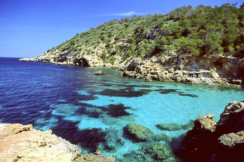 Ibiza: movida e natura