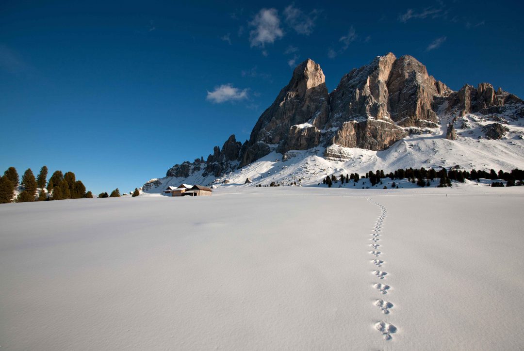 Alto Adige: golosità sulla neve