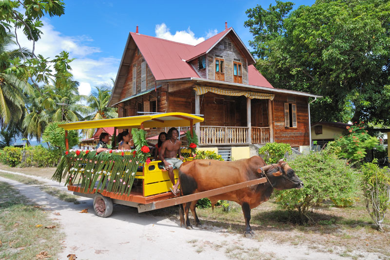 Seychelles, sogno su misura