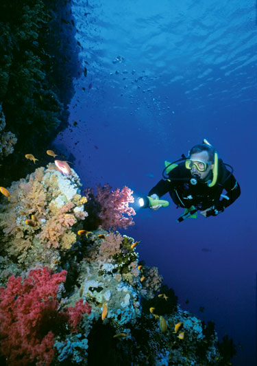 Hurghada, un paradiso sottomarino
