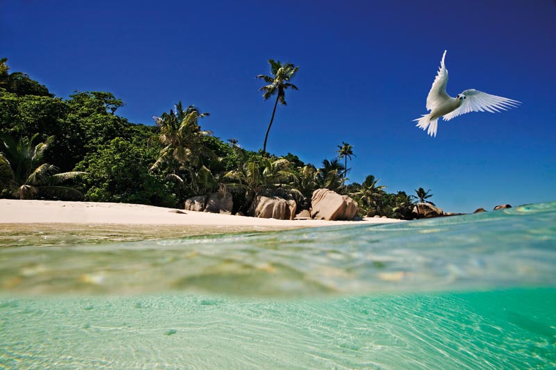 Seychelles: mare da sogno