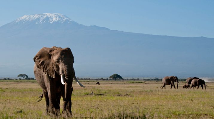 Foto Kenya, mare e safari con tutta la famiglia