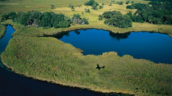 Foto Botswana e Tanzania: safari sull?acqua