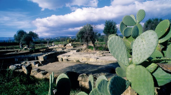 Foto Lungo la costa ionica sulle tracce della Magna Grecia