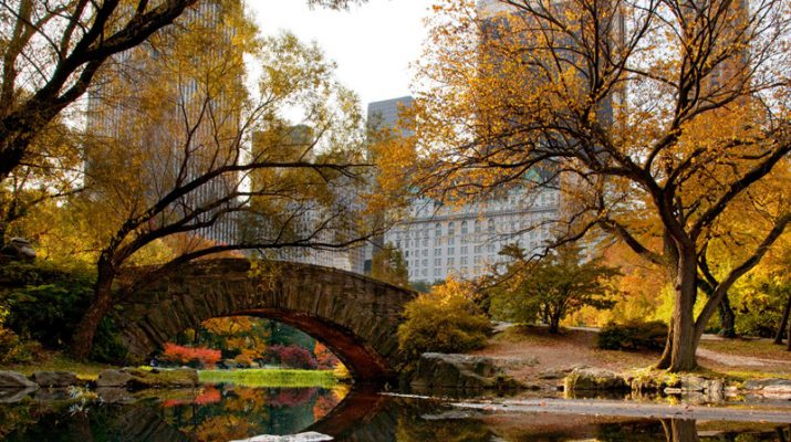 Foto Autunno (e foliage) a New York