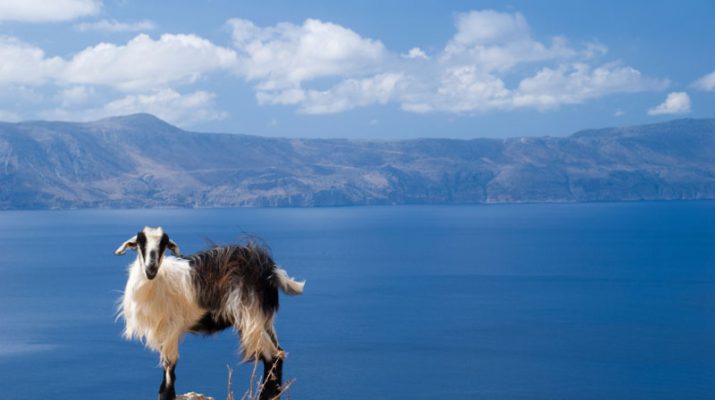 Foto Creta, al mare con  Teseo e Arianna