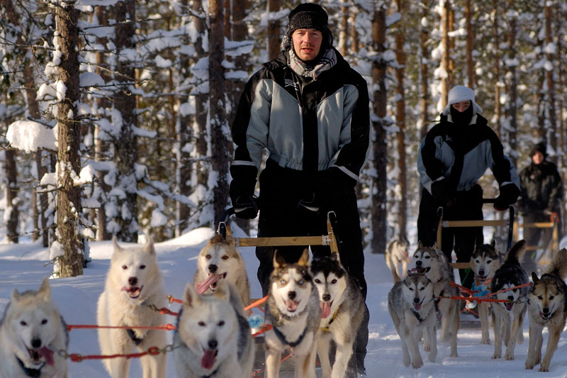 Novelli Jack London in Finlandia, su una slitta trainata dagli husky