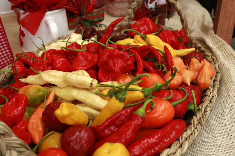 Firenze gustosa, tra gnudi e baccalà