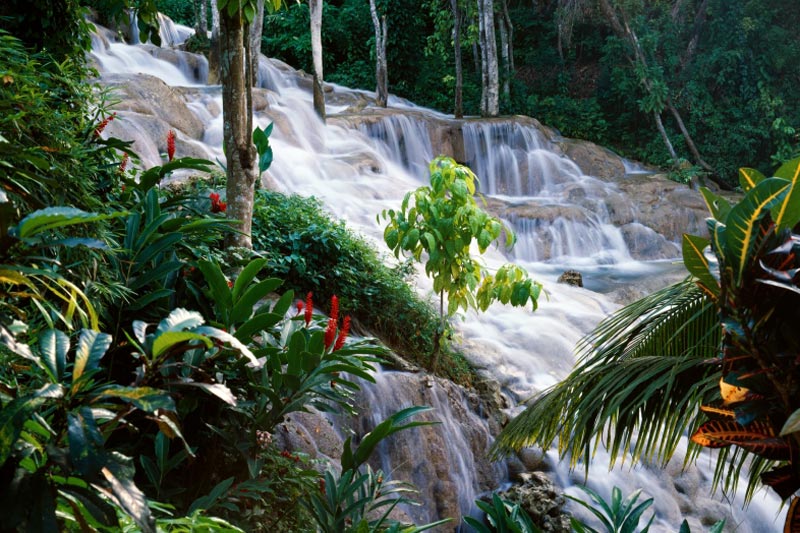 Giamaica: dove vive Madre Natura