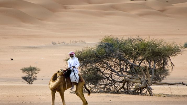Foto La rotta delle spezie: da Nizwa alle dune di sabbia di Wahiba