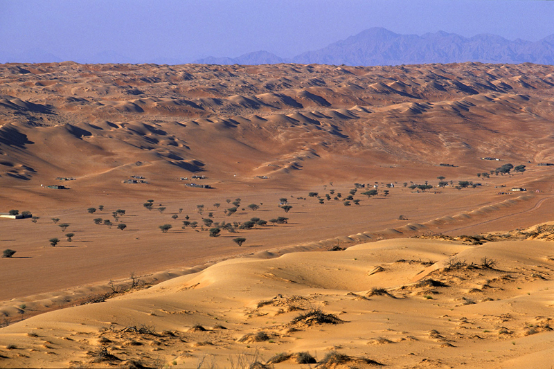 La rotta delle spezie: da Nizwa alle dune di sabbia di Wahiba