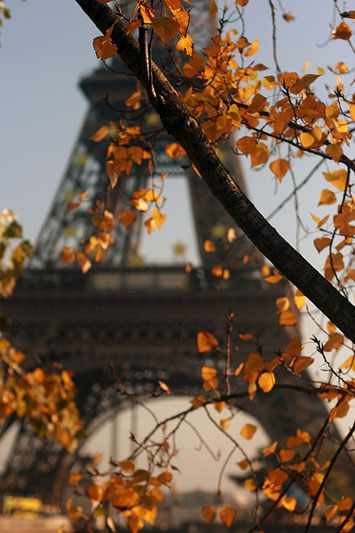 Autunno a Parigi: 10 motivi per partire