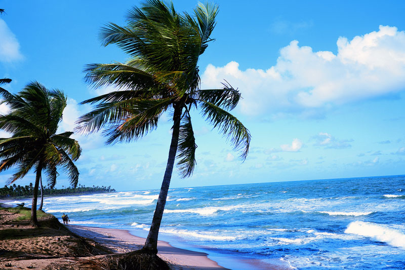 Brasile, le cinque spiagge più belle