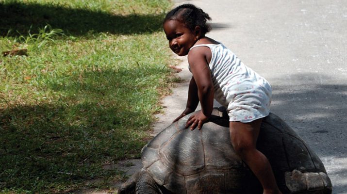 Foto Seychelles a piedi scalzi