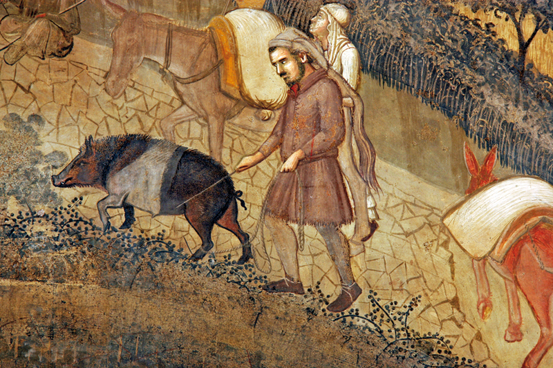 A Siena, alla scoperta del primo traveler’s cheque della storia