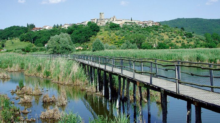 Foto Trasimeno, in bici tra vigne e castelli
