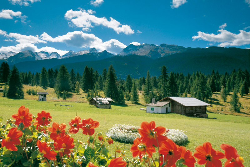 In Trentino, dove vive Madre Natura