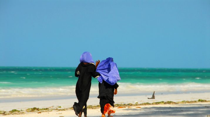 Foto Zanzibar: spiagge bianche e safari