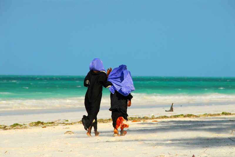 Zanzibar: spiagge bianche e safari