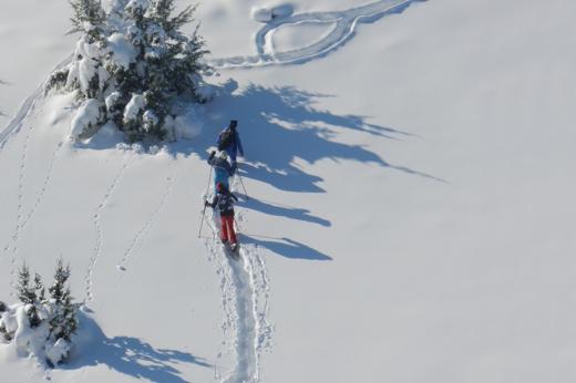 Abruzzo wild: sciare con i lupi