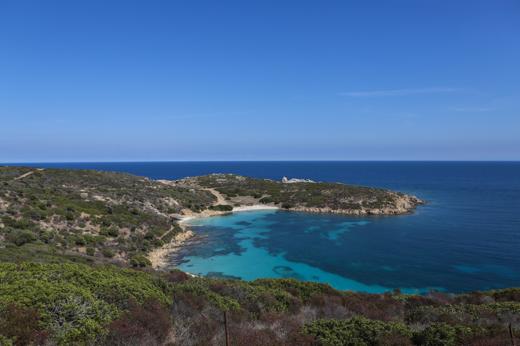 Asinara: le spiagge degli asinelli bianchi