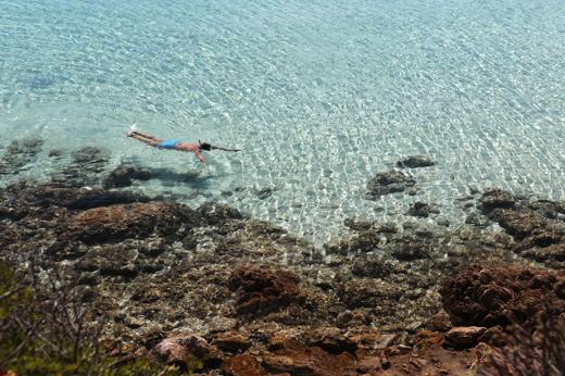 Asinara: le spiagge degli asinelli bianchi