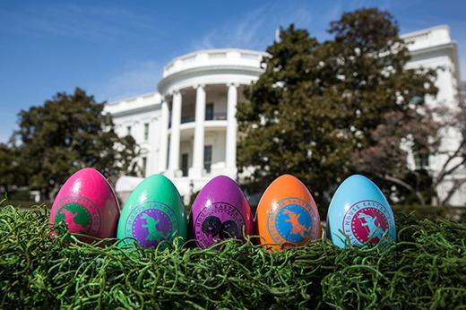 Foto Pasqua e caccia alle uova: gli eventi più divertenti