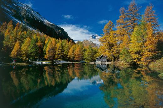 Foto Parc Ela: cultura alpina e biodiversità