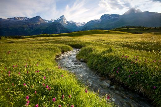 Parc Ela: cultura alpina e biodiversità