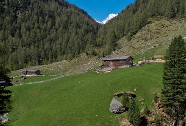 Osttirol: escursioni per grandi e piccini