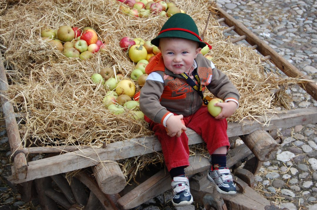 Torna Pomaria, la festa delle mele
