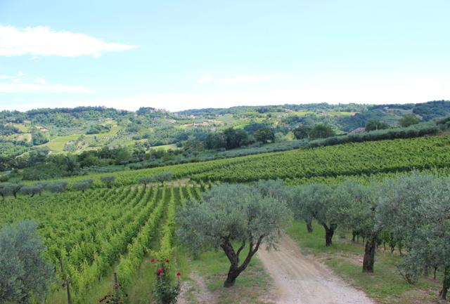 Profondo Abruzzo: tra vini, castelli e sapori