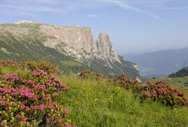 Alpe di Siusi: ricomincia la stagione delle passeggiate