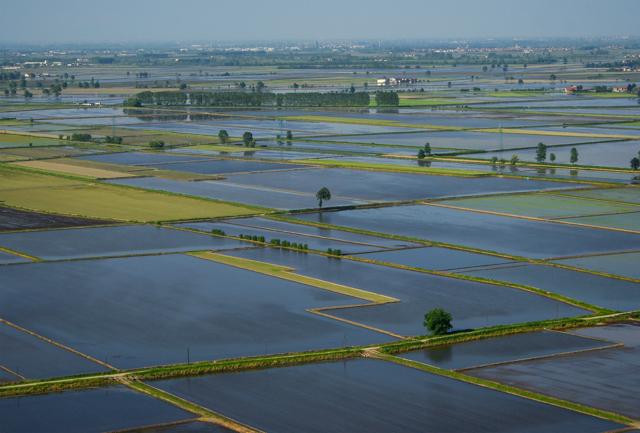 Tra Vercelli e Novara, nelle terre del riso