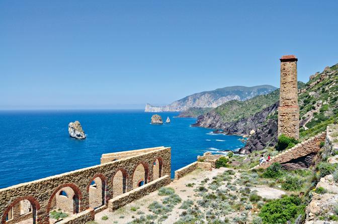 Sardegna, l’isola in fiore