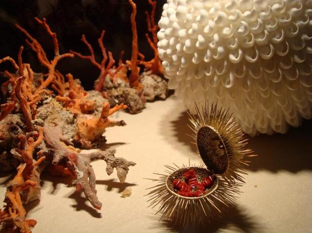 Aragoste e corallo