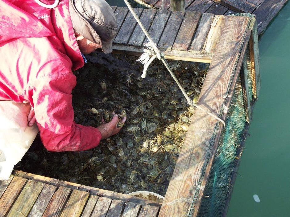 Venezia: scorci e fritture di pesce