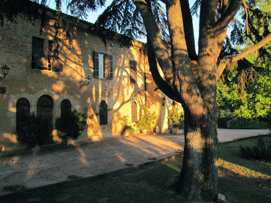 Tra Assisi e Trevi: borghi, monasteri e frantoi