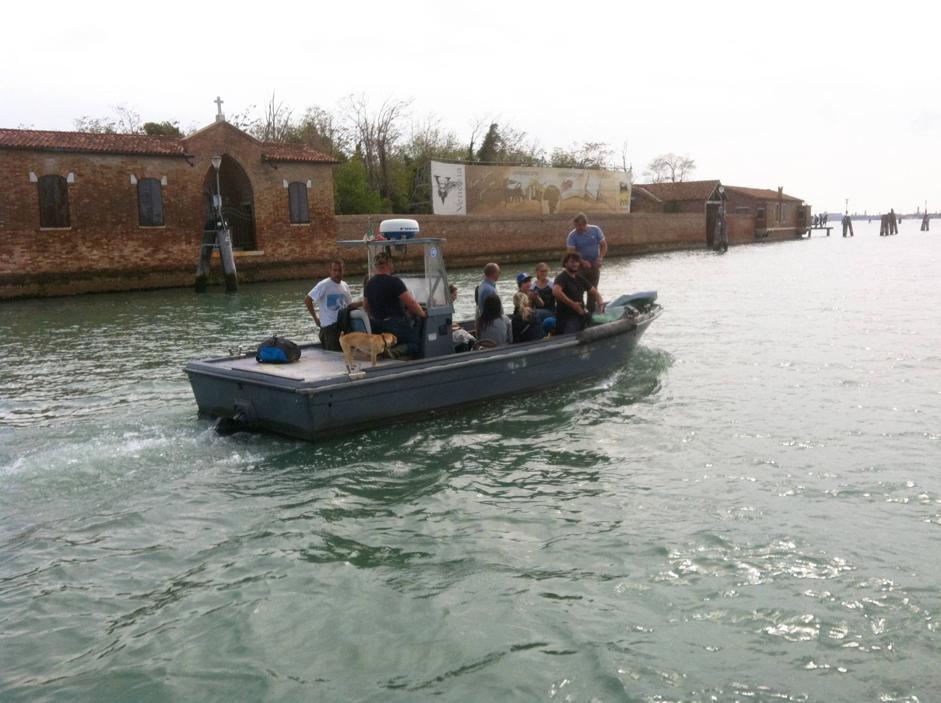 Venezia: scorci e fritture di pesce