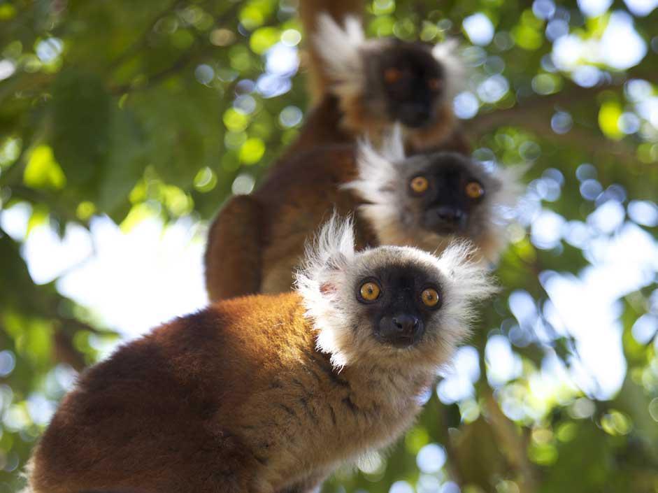 Madagascar: LE FOTO SPETTACOLARI