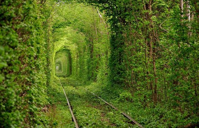 Tunnel of love (Ucraina)