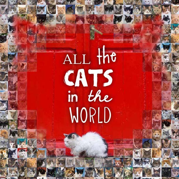 Gatti del Galles e di altri 44 Paesi del mondo