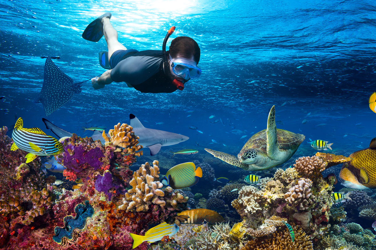 I fondali marini delle Maldive sono un paradiso per fare immersioni e snorkeling (PH. GettyImages)