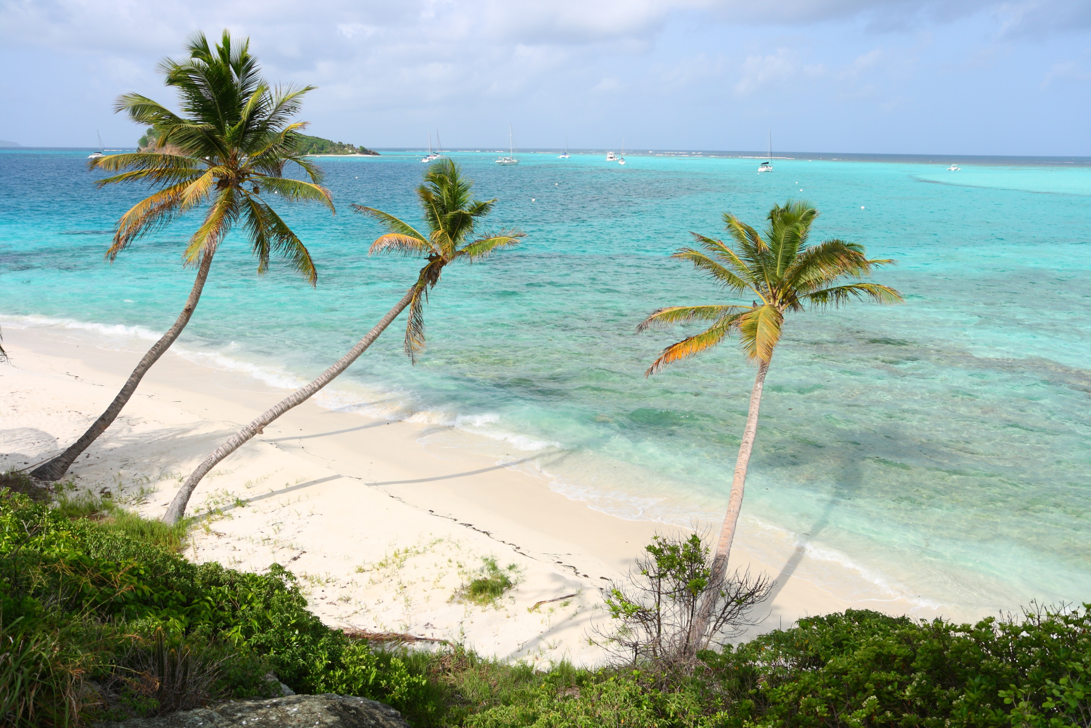 Guida Saint Vincent e Grenadine Dove Viaggi